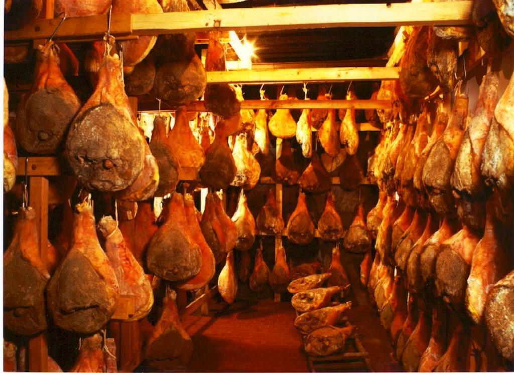 Osteria Carnivora Guest House Gaiole in Chianti Exterior photo