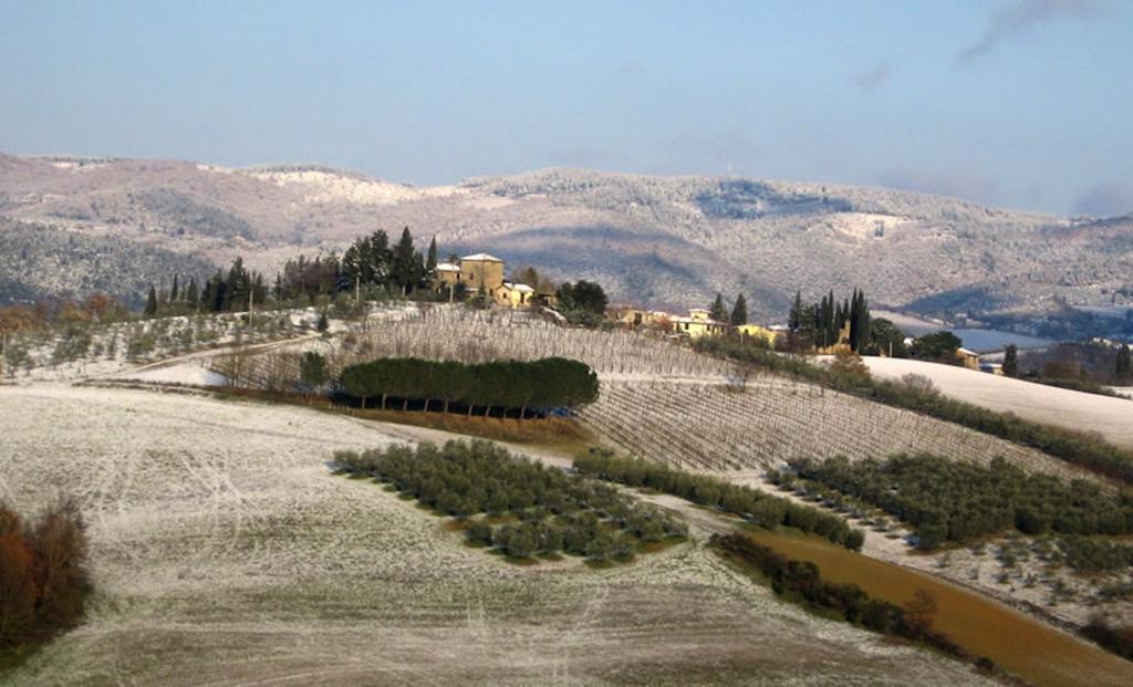 Osteria Carnivora Guest House Gaiole in Chianti Exterior photo